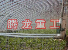 大棚花卉供暖設(shè)備、大棚卉采暖設(shè)備、大棚花卉取暖設(shè)備